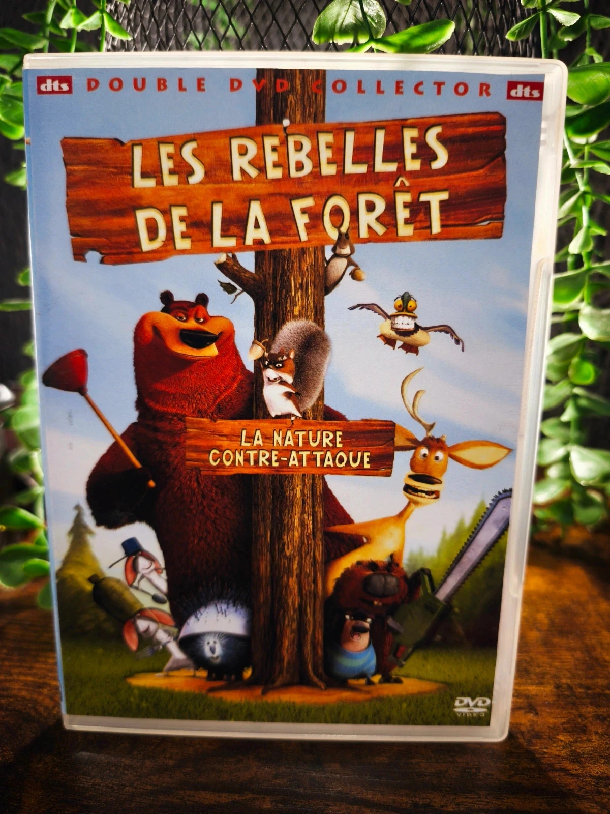 Les rebelles de la forêt